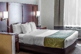 Room #45830507 at Comfort Suites Castle Rock - Denver South