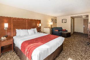 Room #48933107 at Comfort Suites Longmont