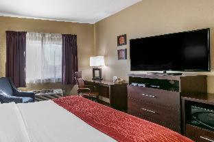 Room #48930420 at Comfort Inn Fort Collins North