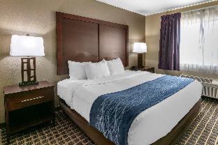 Room #48930421 at Comfort Inn Fort Collins North