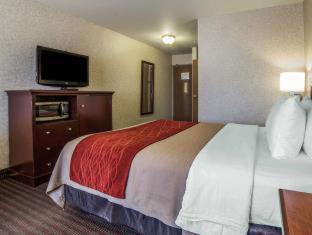 Room #45912708 at Comfort Inn Kennewick Richland