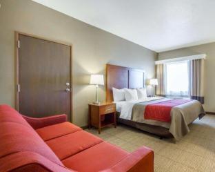 Room #49044408 at Comfort Inn Bolivar
