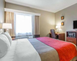 Room #49044408 at Comfort Inn Bolivar