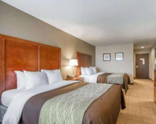Room #49044409 at Comfort Inn Bolivar