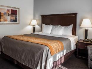 Room #49070807 at Comfort Inn & Suites Lumberton Central I-95