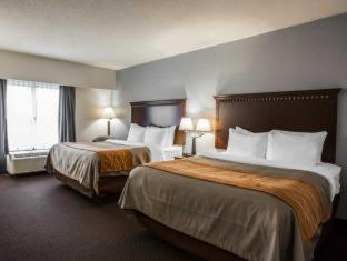 Room #49070808 at Comfort Inn & Suites Lumberton Central I-95