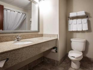 Room #49070808 at Comfort Inn & Suites Lumberton Central I-95