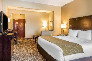 Room #48994707 at Comfort Suites Fort Wayne North
