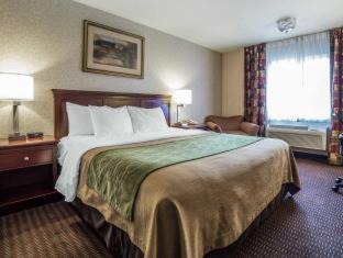 Room #45912712 at Comfort Inn Kennewick Richland