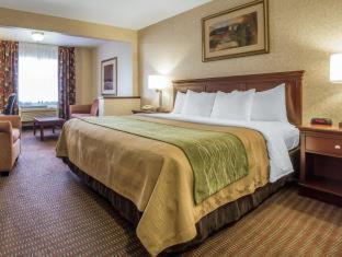 Room #45912712 at Comfort Inn Kennewick Richland