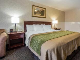 Room #45912712 at Comfort Inn Kennewick Richland