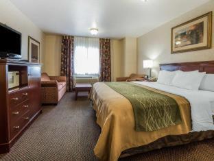 Room #45912712 at Comfort Inn Kennewick Richland