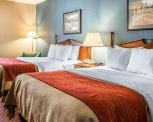 Room #49103206 at Quality Inn