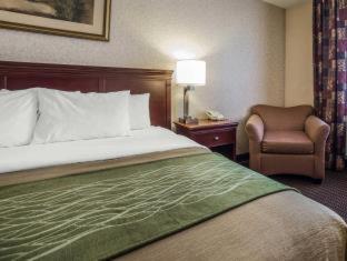 Room #45912712 at Comfort Inn Kennewick Richland