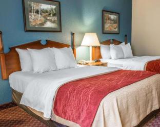 Room #49103206 at Quality Inn