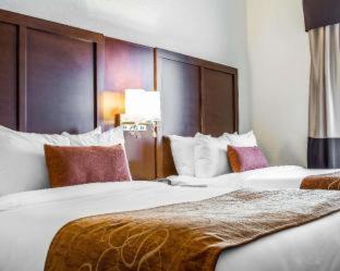 Room #130205907 at Comfort Suites Woodland - Sacramento Airport