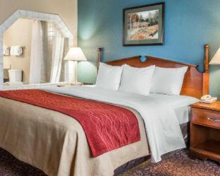 Room #49103208 at Quality Inn