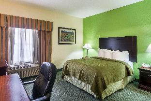 Room #50110309 at Quality Inn & Suites near I-80 and I-294