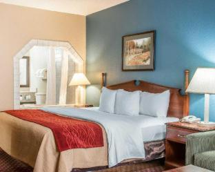Room #49103208 at Quality Inn