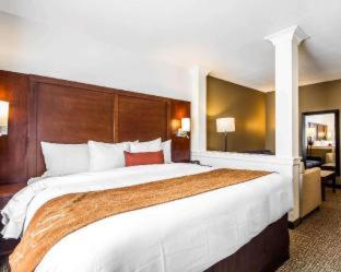 Room #130205909 at Comfort Suites Woodland - Sacramento Airport