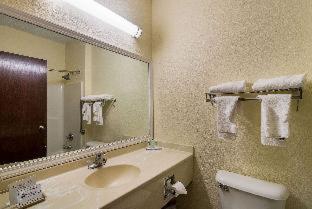 Room #50110311 at Quality Inn & Suites near I-80 and I-294