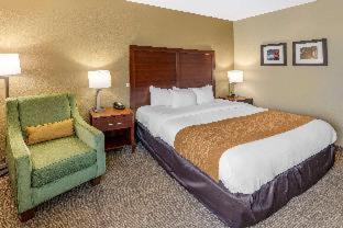 Room #48870813 at Comfort Inn & Suites Lincoln Talladega I-20