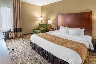 Room #48870813 at Comfort Inn & Suites Lincoln Talladega I-20