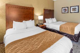 Room #48870814 at Comfort Inn & Suites Lincoln Talladega I-20