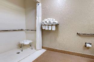Room #48870814 at Comfort Inn & Suites Lincoln Talladega I-20