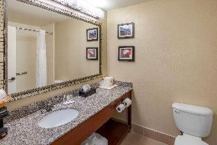 Room #48870815 at Comfort Inn & Suites Lincoln Talladega I-20