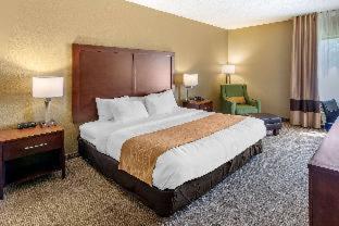 Room #48870815 at Comfort Inn & Suites Lincoln Talladega I-20