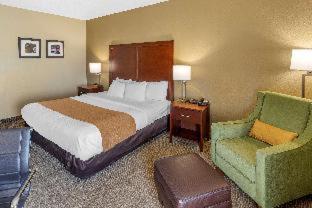 Room #48870815 at Comfort Inn & Suites Lincoln Talladega I-20