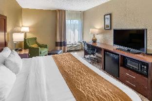 Room #48870815 at Comfort Inn & Suites Lincoln Talladega I-20