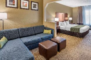 Room #48870816 at Comfort Inn & Suites Lincoln Talladega I-20