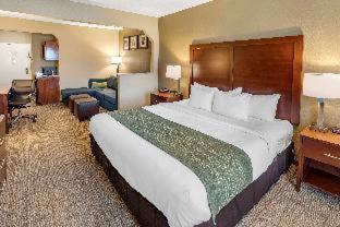 Room #48870816 at Comfort Inn & Suites Lincoln Talladega I-20