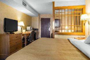 Room #49124611 at Comfort Inn & Suites Johnstown - Richland Town Center
