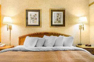 Room #49124611 at Comfort Inn & Suites Johnstown - Richland Town Center