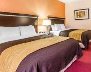 Room #48870817 at Comfort Inn & Suites Lincoln Talladega I-20
