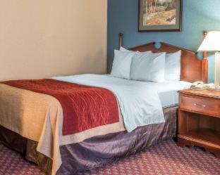 Room #49103209 at Quality Inn