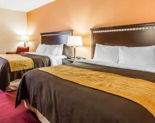 Room #48870817 at Comfort Inn & Suites Lincoln Talladega I-20