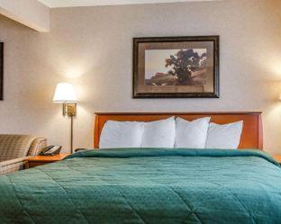 Room #48983109 at Quality Inn & Suites Twin Falls North