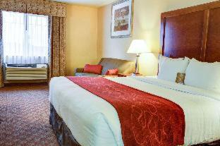Room #45761809 at Comfort Inn Newport