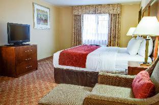 Room #45761812 at Comfort Inn Newport