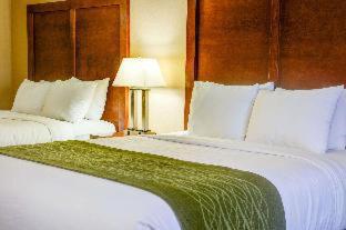 Room #45761810 at Comfort Inn Newport