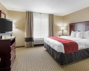 Room #49195805 at Comfort Suites Ennis