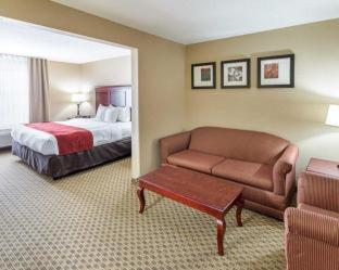 Room #49195805 at Comfort Suites Ennis