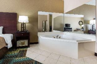 Room #49042910 at Quality Inn & Suites Arnold - St Louis
