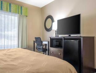 Room #49042910 at Quality Inn & Suites Arnold - St Louis