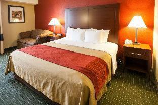 Room #49068908 at Comfort Inn & Suites Statesville - Mooresville