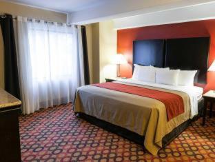 Room #49068908 at Comfort Inn & Suites Statesville - Mooresville